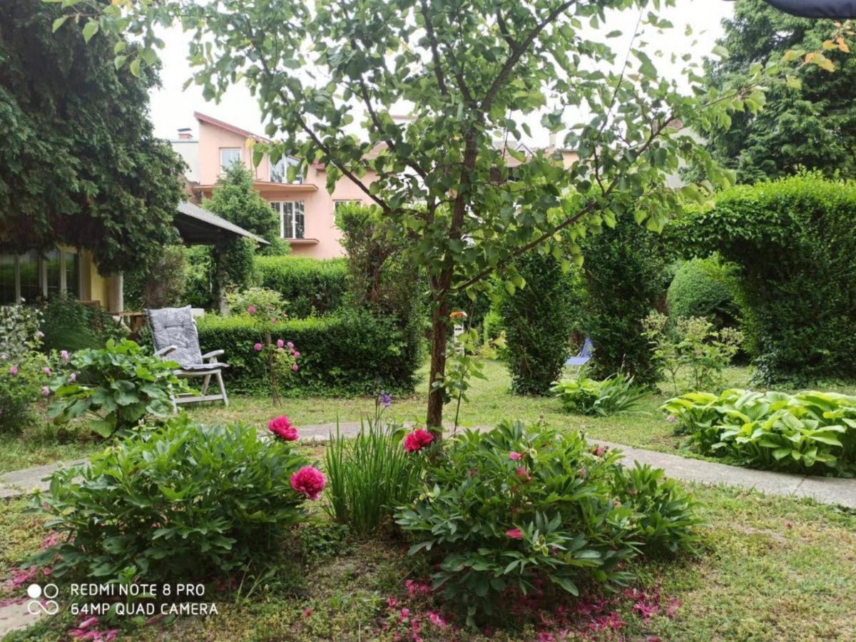 Cocic Garden Apartment Osijek Ngoại thất bức ảnh