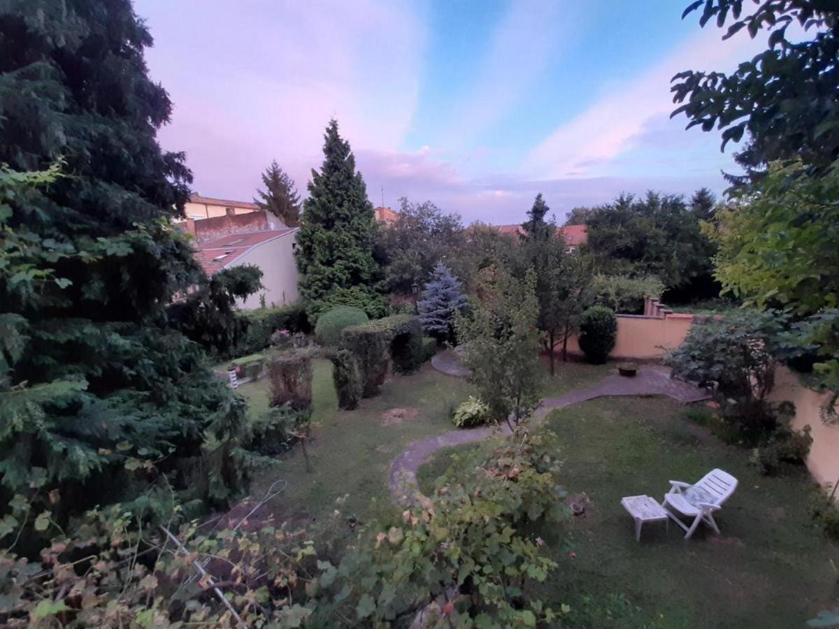 Cocic Garden Apartment Osijek Ngoại thất bức ảnh