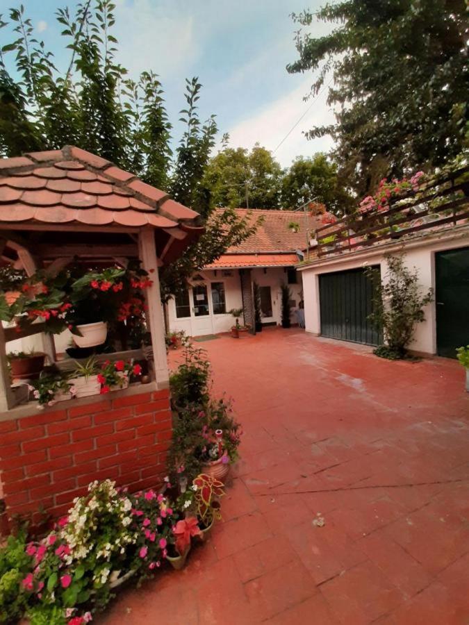 Cocic Garden Apartment Osijek Ngoại thất bức ảnh