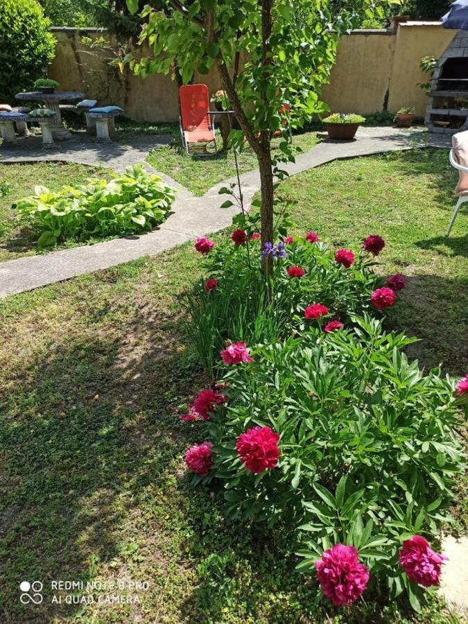 Cocic Garden Apartment Osijek Ngoại thất bức ảnh